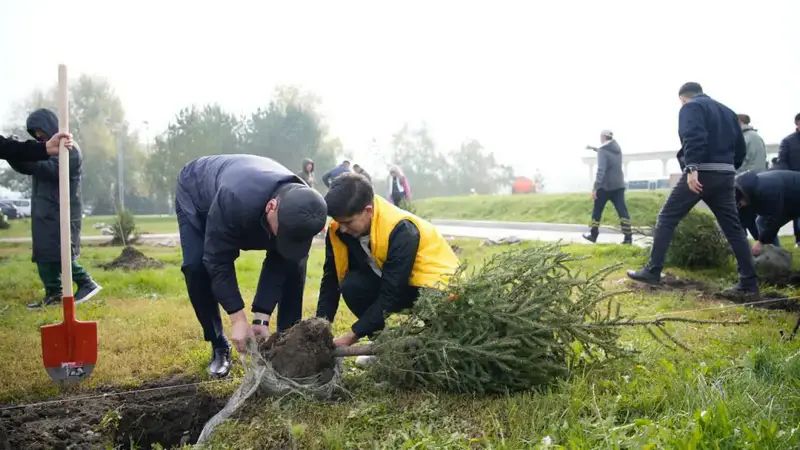 На востоке страны в очередной раз высадили саженцы в рамках акции «Таза Қазақстан» (4)