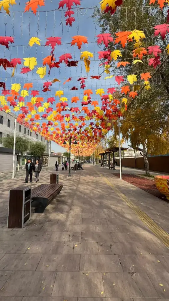 Алматы: Жетысуский район расцвел к Дню Республики с новыми пешеходными оазисами Астане
