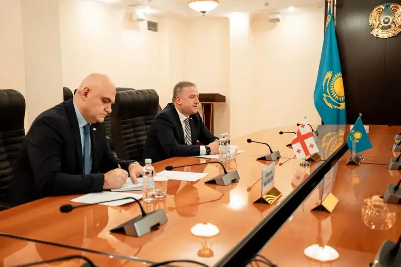 Культурное сотрудничество Казахстана и Грузии: обмен волонтерами и кинофильмами Астане