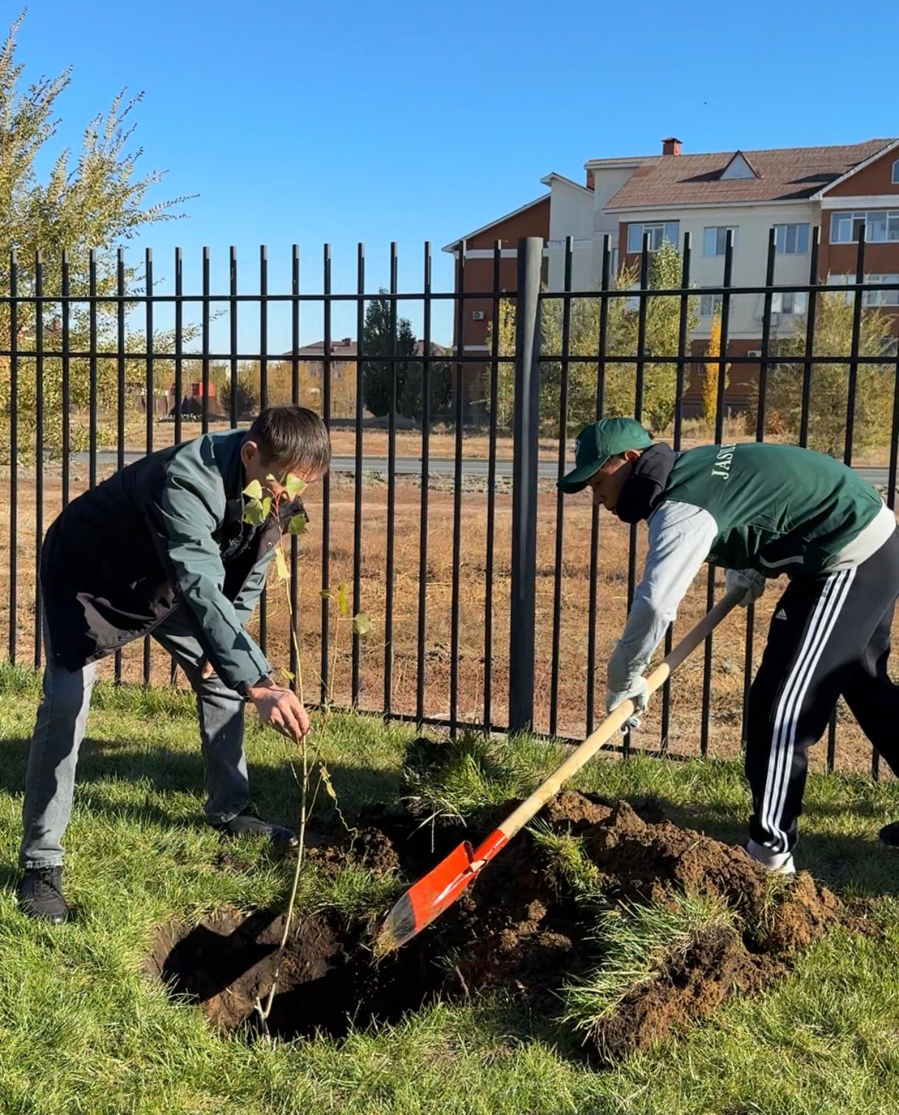 Молодёжь Казахстана высаживает тополя в рамках экологической акции