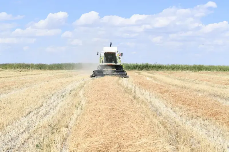 Алматинская область сохраняет рост в агросекторе: рекордные урожаи и инвестиции (4)