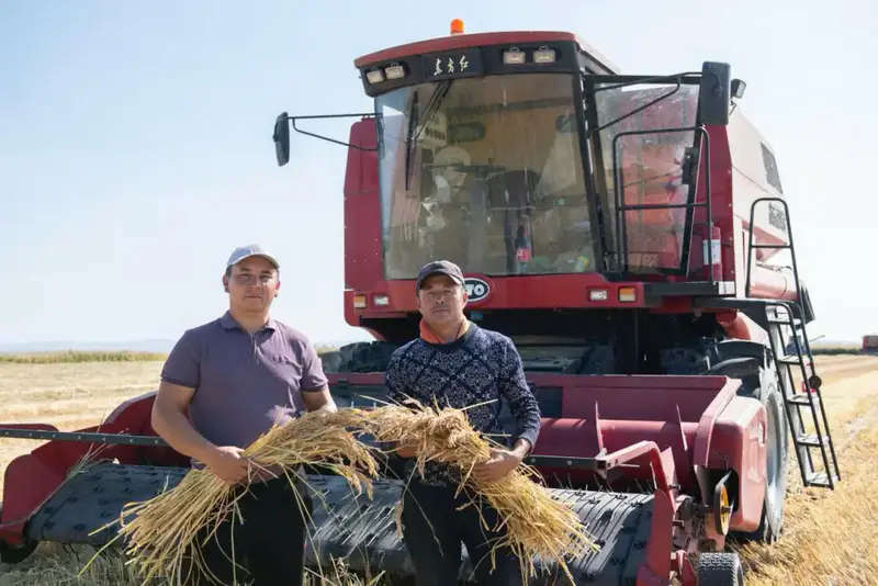 Алматинская область сохраняет рост в агросекторе: рекордные урожаи и инвестиции (8)