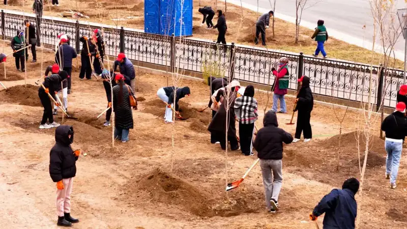 Сарайшык продолжает озеленение: высажено более 500 деревьев Астане