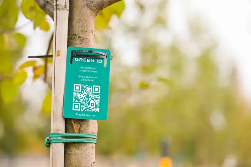 170 дворовых и общественных пространств благоустроили в Астане (4)