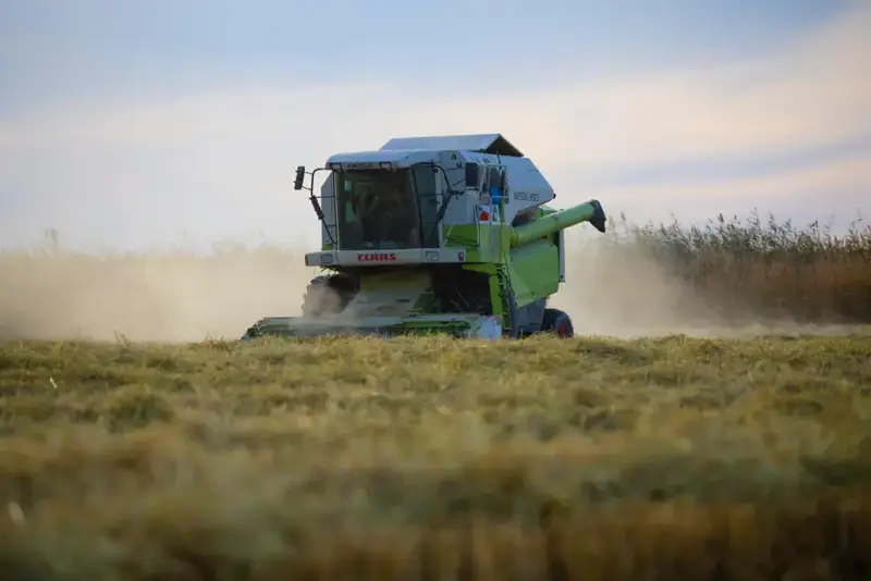 Уборка риса в Балхашском районе продолжается: 6 065 гектаров убрано, 23,7 тысячи тонн зерна собрано Астане