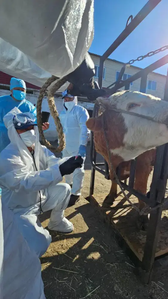 В Акмолинской области проведены симуляционные учения в сфере ветеринарной безопасности (3)