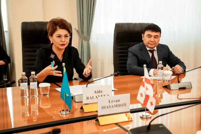 Казахстан и Грузия намерены обмениваться волонтерами и кинофильмами (2)