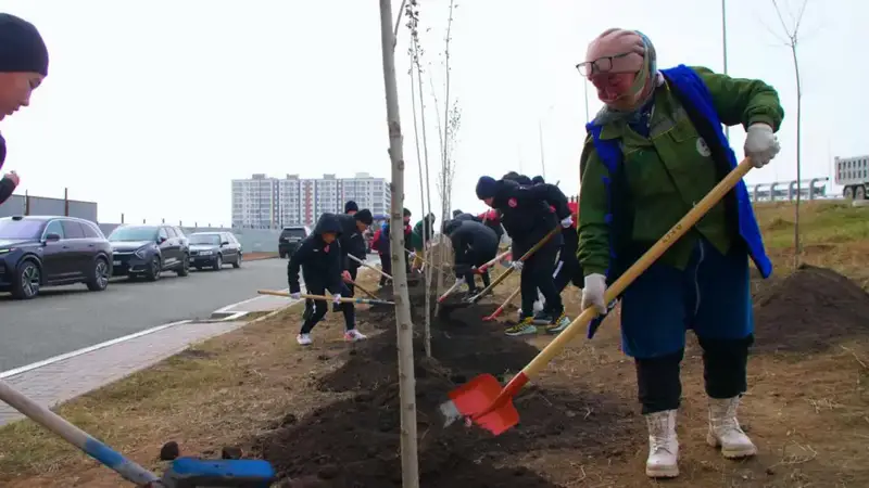 В столичном районе Сарайшык высажено 500 деревьев (6)