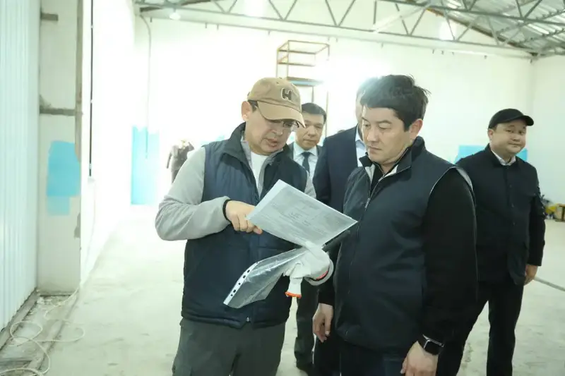 Каракиянский район: визит Нурдаулета Килыбая Астане