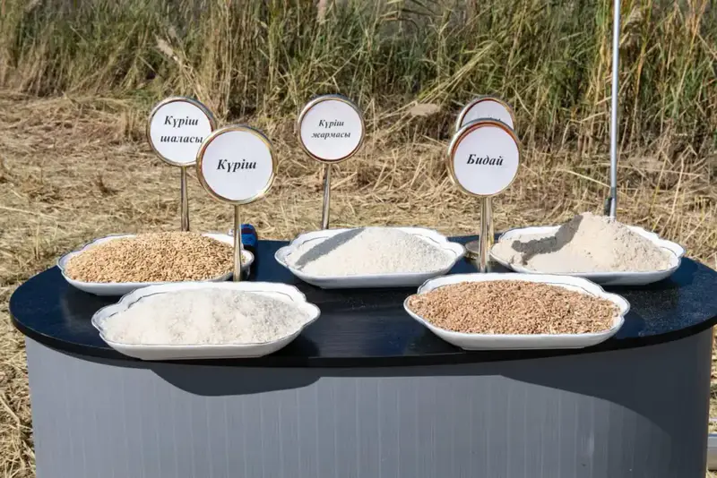 Алматинская область сохраняет рост в агросекторе: рекордные урожаи и инвестиции (2)