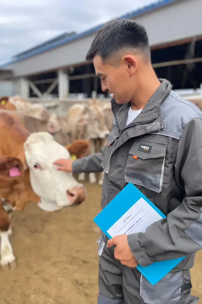 Бауыржан Машанбаев, молодой ветеринар из Жетісу, стал победителем республиканского конкурса "Еңбек жолы", отмечая успехи в повышении продуктивности молока на ферме. Астане