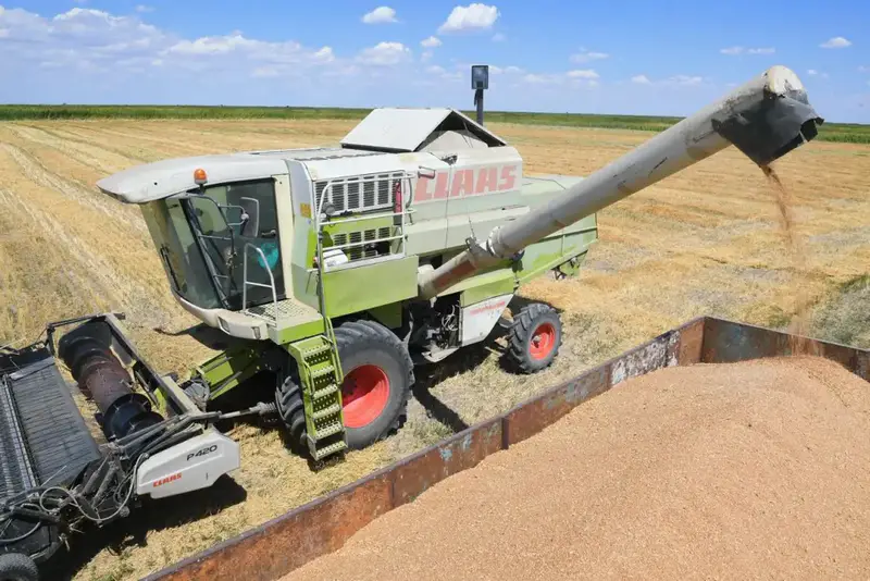 Казахстан увеличил экспорт зерна нового урожая до 1,6 млн тонн Астане