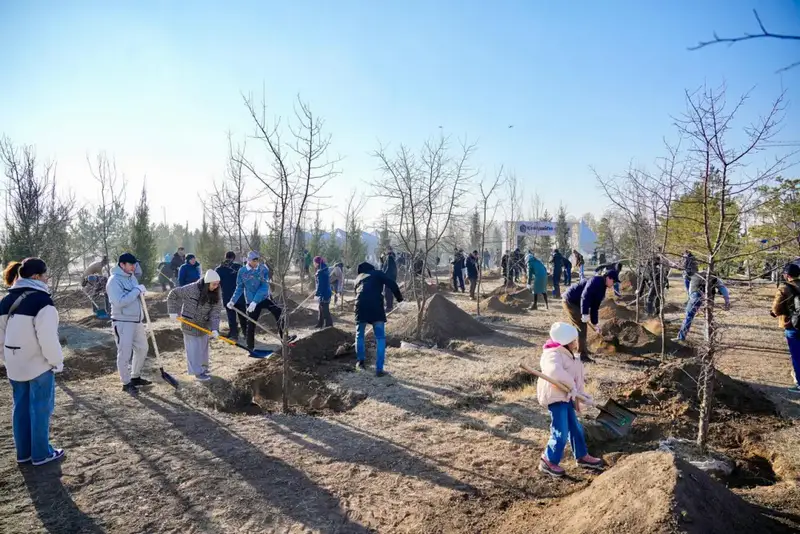 Более 1 млн зеленых насаждений высадят в Астане в текущем году (6)