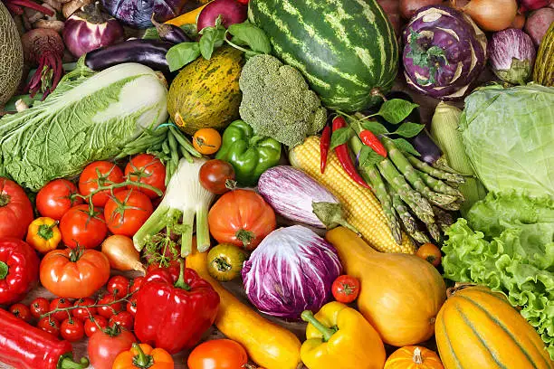 Урожай овощей и картофеля в области превысил 600 тысяч тонн, обеспечив потребности региона Астане