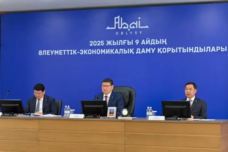 Состоялось заседание акимата (4)