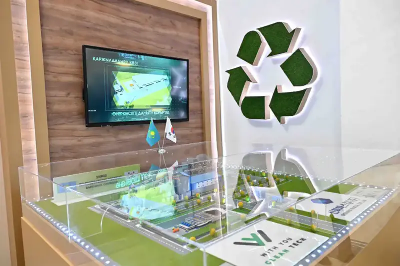 Президенту презентовали инвестиционные проекты Кызылординской области (3)