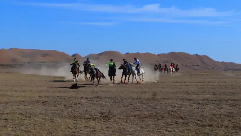 В Аркалыке стартовали национальные конноспортивные игры (2)
