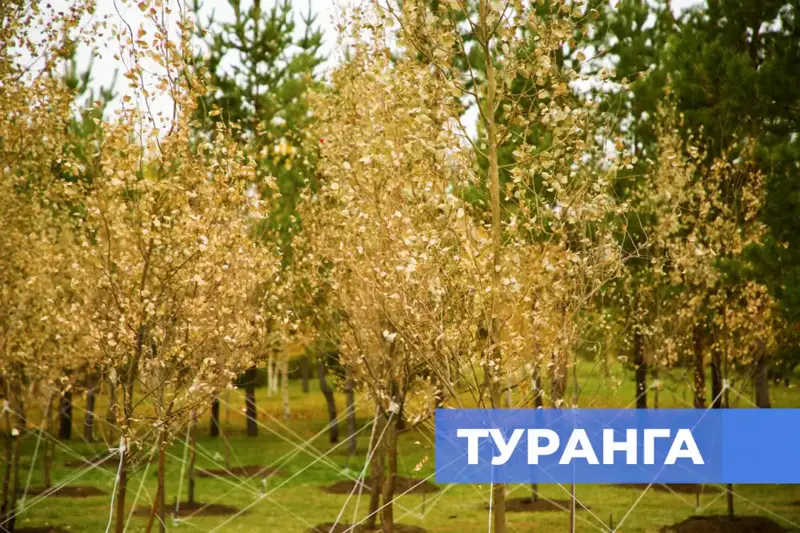 Экоакция Таза Қазақстан субботник в Астане более 150 тысяч участников высадка деревьев благоустройство парков Астане