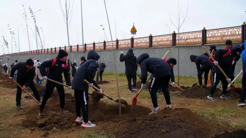 В столичном районе Сарайшык высажено 500 деревьев (9)