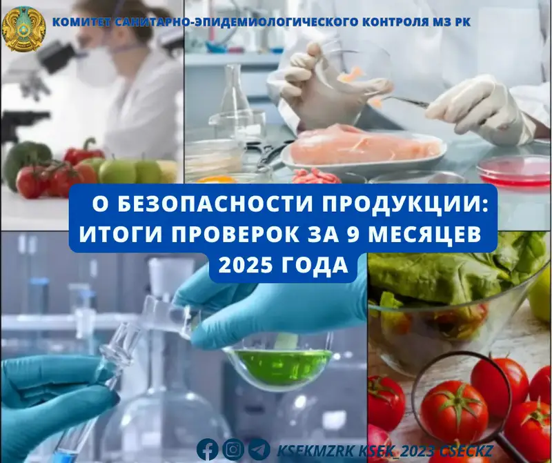 Качество под прицелом: как 25,6% продукции оказались в тени обязательных стандартов Астане