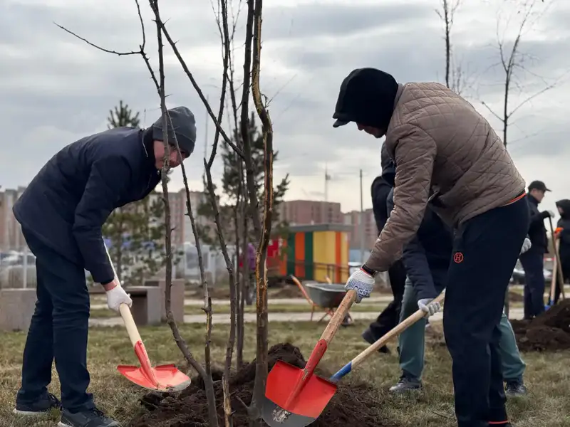 Более 300 деревьев высадили в столичном парке "Коктал" (9)