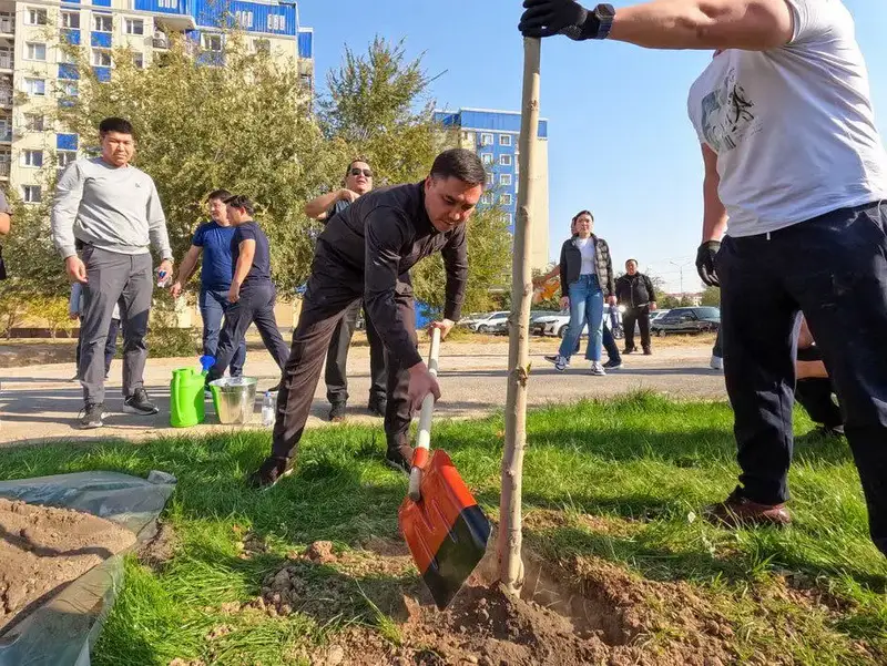 АКИМ ШЫМКЕНТА ПРИНЯЛ УЧАСТИЕ В ПОСАДКЕ ДЕРЕВЬЕВ ВМЕСТЕ С ЖИТЕЛЯМИ (6)
