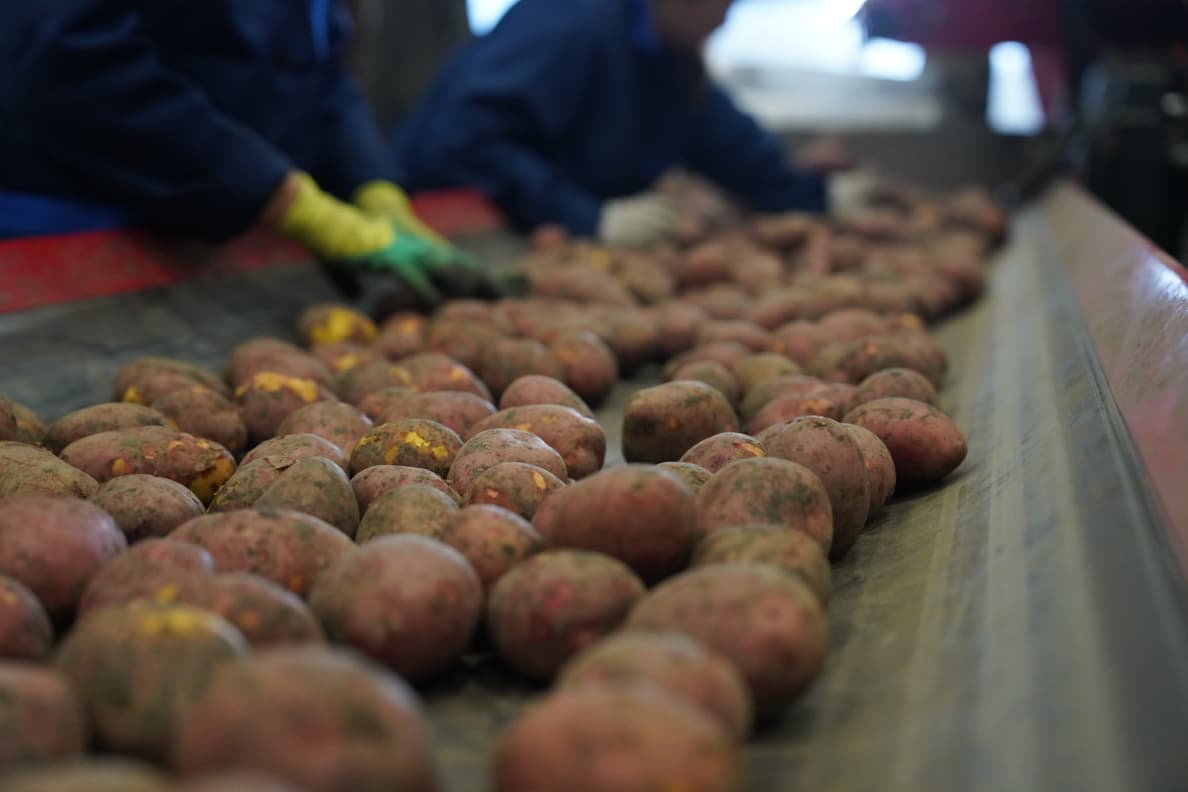 Айдарбек Сапаров ознакомился с деятельностью хозяйства «Шуйское XXI» в Акмолинской области (8)