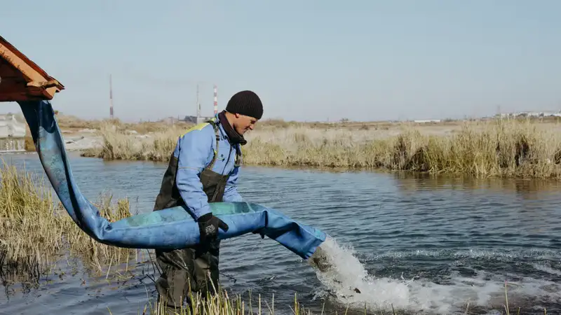 В озеро Балхаш выпустили 125 тысяч сеголеток сазана (4)