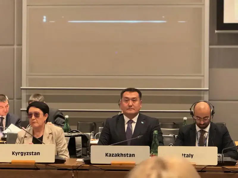 МЧС Казахстана усиливает международное взаимодействие в сфере снижения рисков бедствий (3)