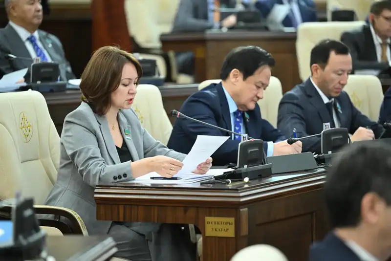 Мажилис утвердил республиканский бюджет на 2026-2028 годы (6)