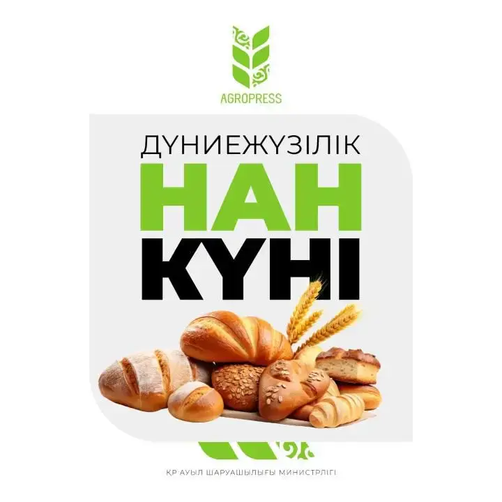Производство хлеба в Казахстане с начала 2025 года 3263 тысячи тонн Астане