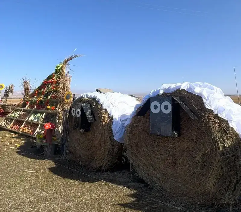 «САБАН FEST – 2025»: В Райымбекском районе урожай труда собрал лучших тружеников Астане