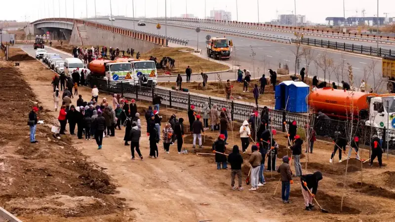 В столичном районе Сарайшык высажено 500 деревьев (5)