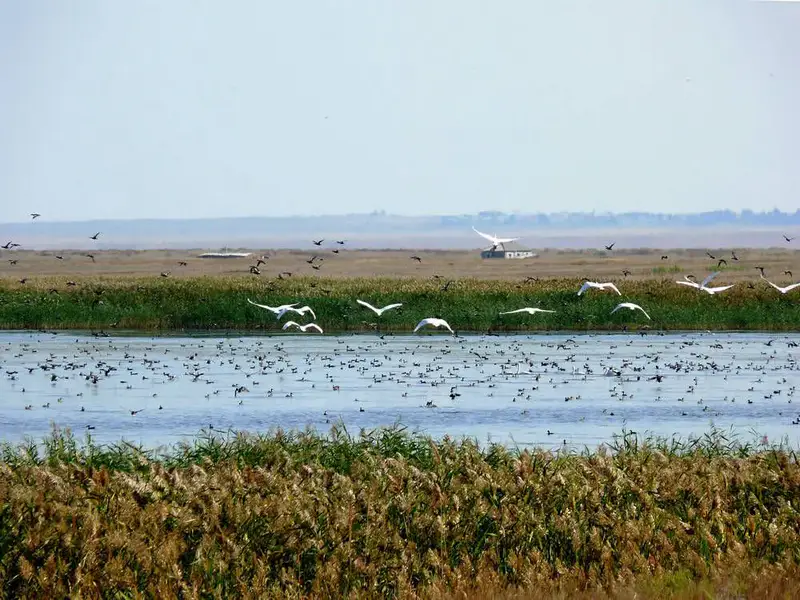 Туризм Костанайской области: новые горизонты Астане