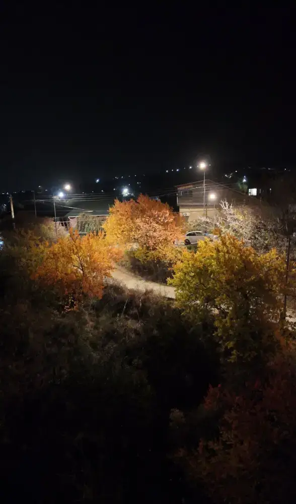 В Наурызбайском районе модернизируют освещение на 51 улице (4)