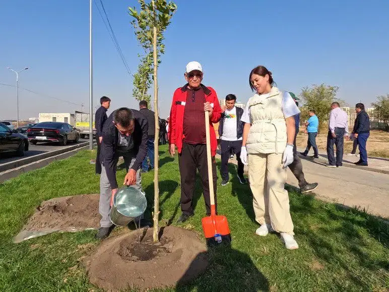 АКИМ ШЫМКЕНТА ПРИНЯЛ УЧАСТИЕ В ПОСАДКЕ ДЕРЕВЬЕВ ВМЕСТЕ С ЖИТЕЛЯМИ (5)