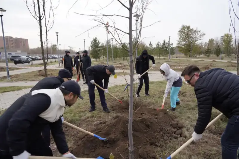 Более 300 деревьев высадили в столичном парке "Коктал" (8)