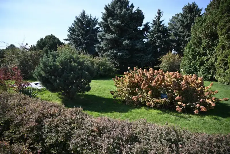 Дархан Сатыбалды: Вдохновение природы в благоустройстве Алматы Астане