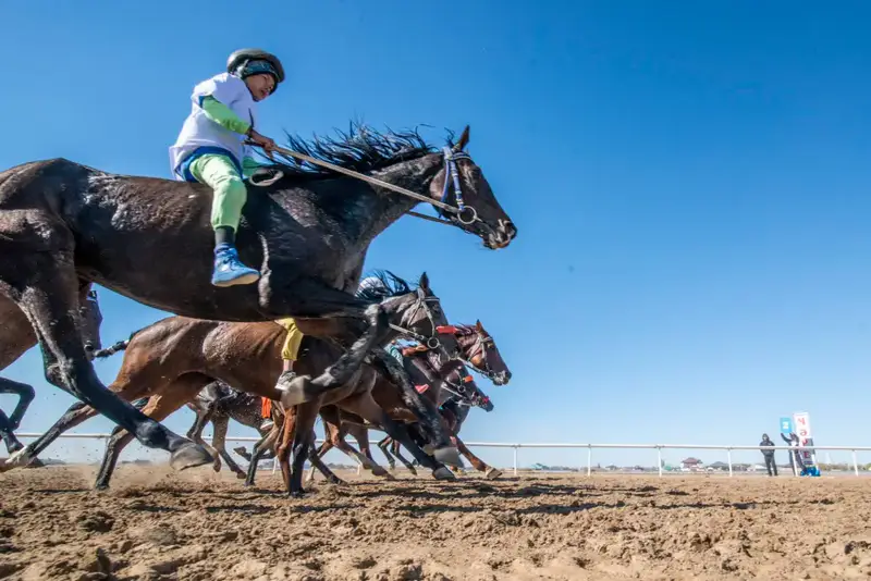 «Алтын күз – 2025»: В Кызылорде прошла республиканская байга (9)