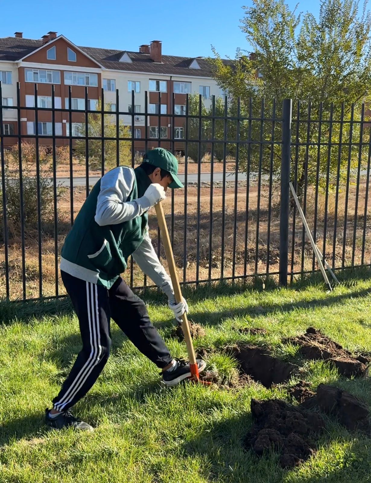 Осенняя кампания: Молодёжь высадила 50 саженцев тополей (2)