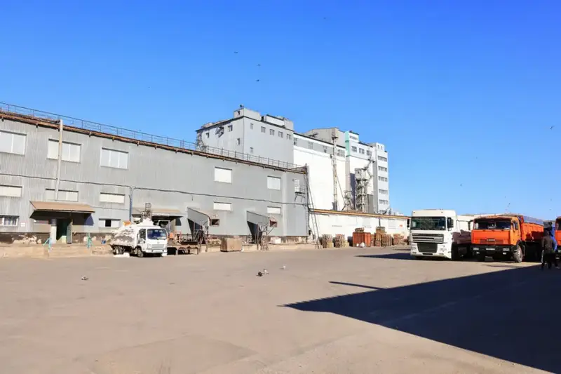 Увеличение производства растительного масла в Карагандинской области: успехи благодаря государственной поддержке Астане