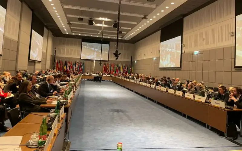 В Вене завершилась встреча ОБСЕ по снижению риска бедствий с акцентом на международное сотрудничество Астане