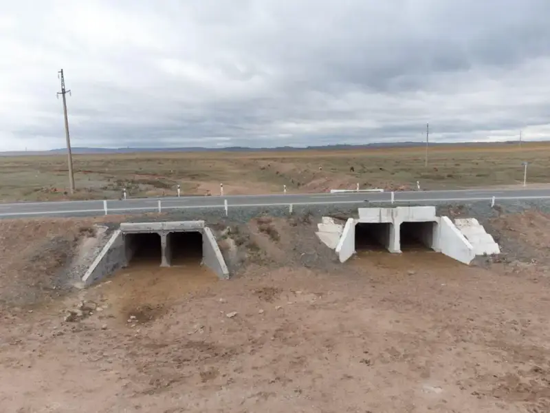 Подготовка к паводковому периоду продолжается в регионах Казахстана (4)