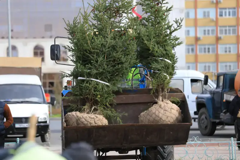 В рамках акции «Таза Казахстан» в Актюбинской области было высажено около 7300 саженцев (7)