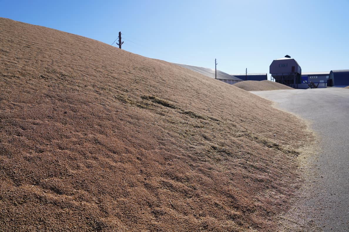 Развитие хозяйства Шуйское XXI в Акмолинской области социальная ответственность и современные технологии