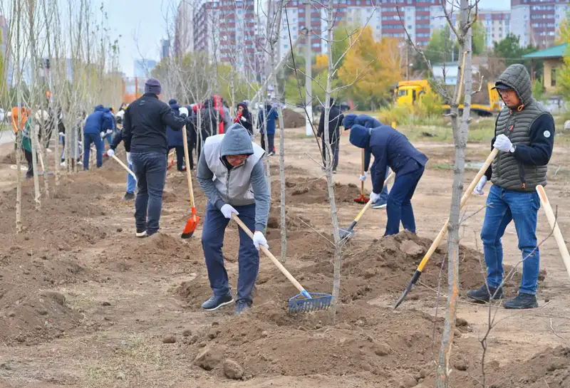 Сотрудники АДГС и АГУ приняли участие в общегородском субботнике (3)