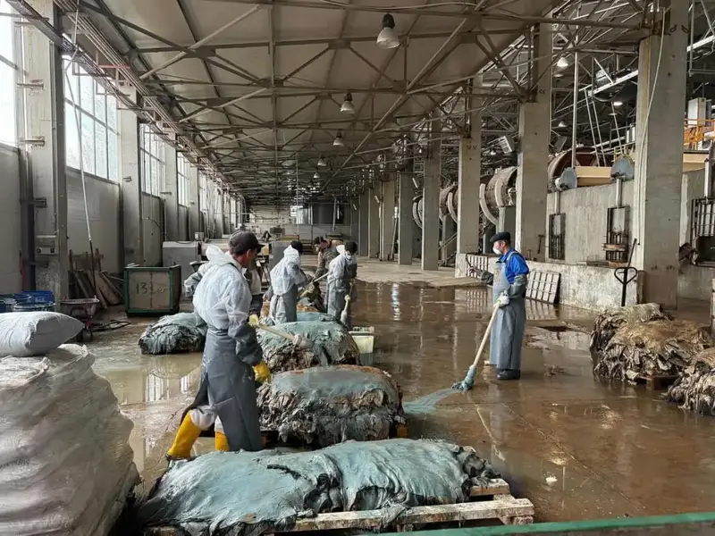 В Западно-Казахстанской области будут перерабатывать более 800 тысяч шкур в год (7)