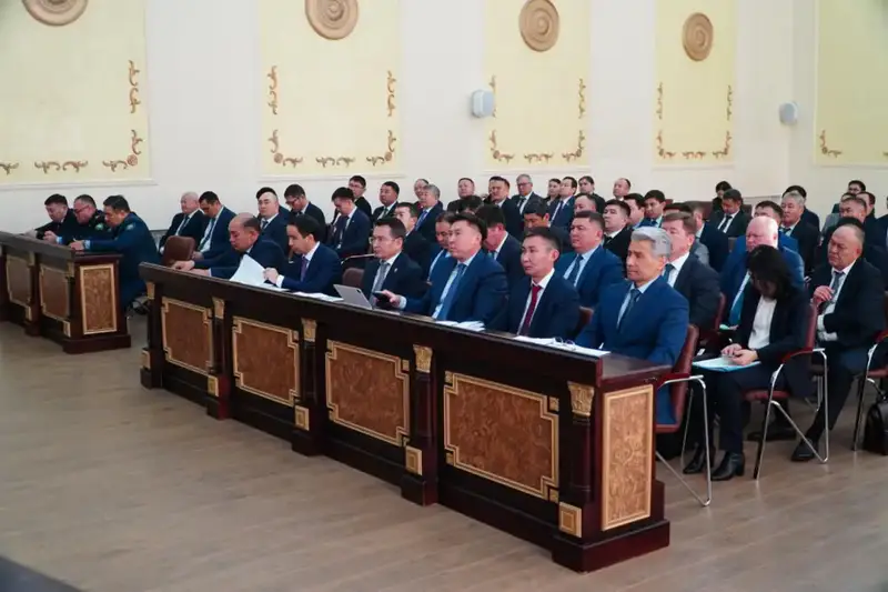 В Акмолинской области подвели итоги социально-экономического развития за 9 месяцев 2025 года (3)