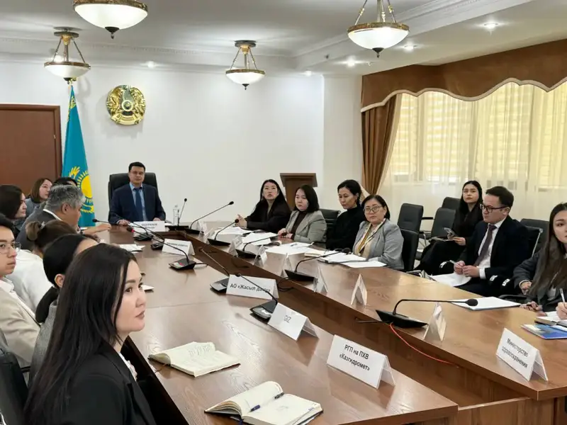 Заседание экспертной группы по разработке Национального адаптационного плана по изменению климата (4)