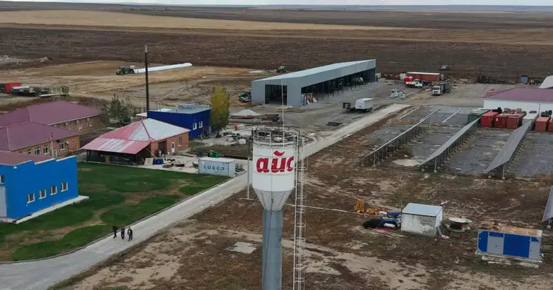 В Актюбинской области ТОО «Айс» привезло из Дании 330 голов племенного скота (5)